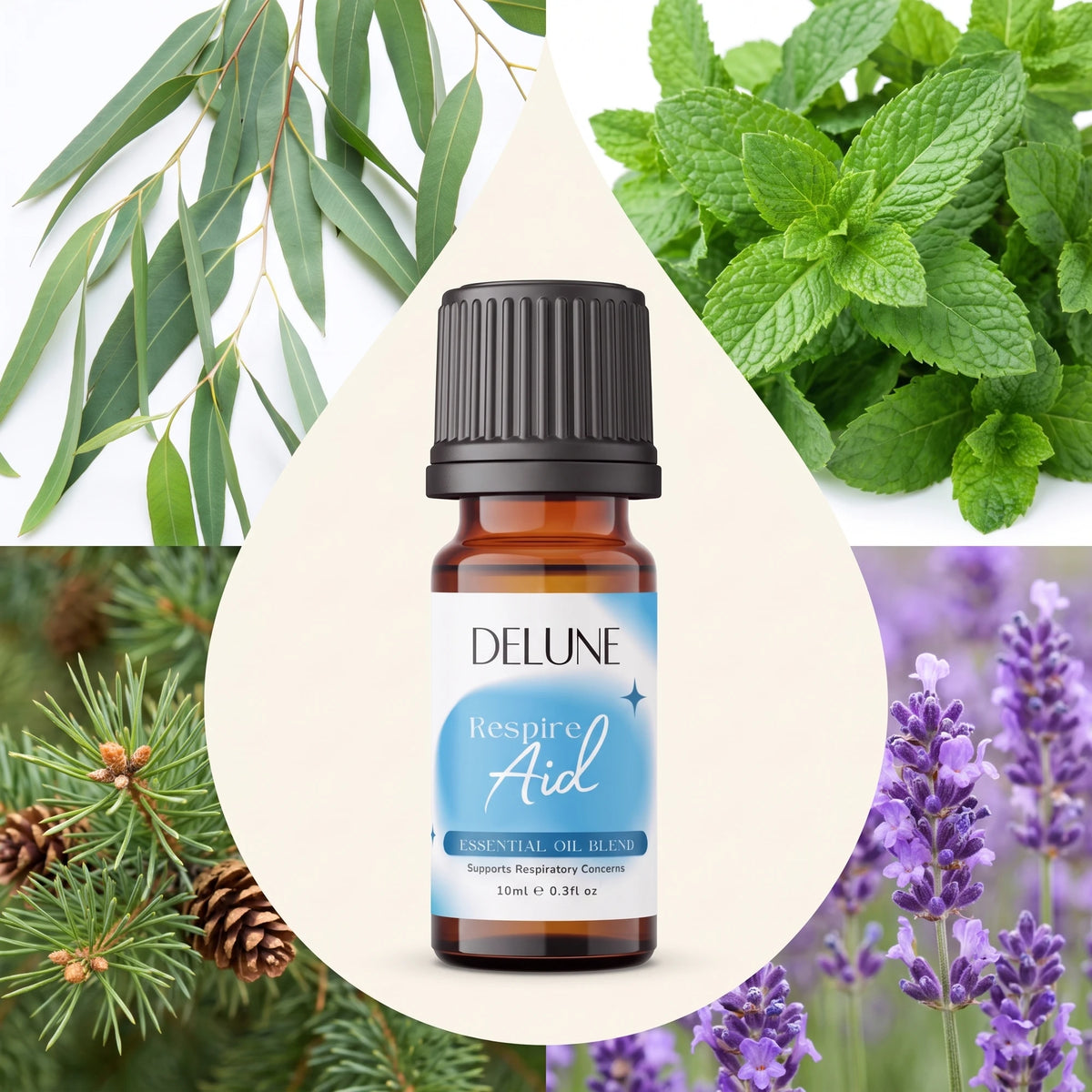 Essential oil blend UAE – Delune Dubai Respire Aid Essential Oil Blend surrounded by its ingredients: eucalyptus, mint