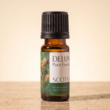 Scots Pine Pure Essential Oil