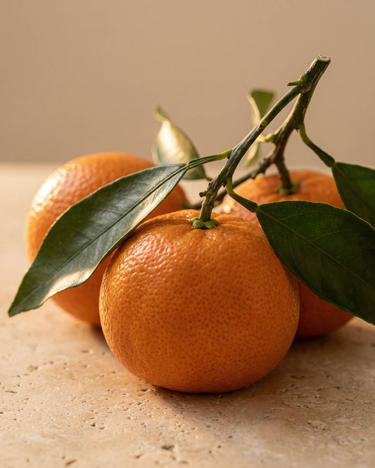 Tangerine essential oil UAE – Delune Dubai: fresh whole tangerines on a leafy branch in warm light on travertine