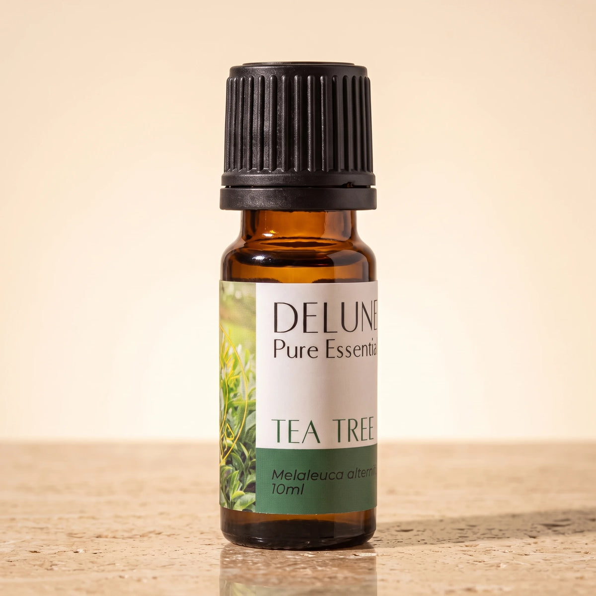 Tea Tree essential oil UAE – Delune Dubai Tea Tree Pure Essential Oil, 10ml amber glass bottle on warm travertine stone