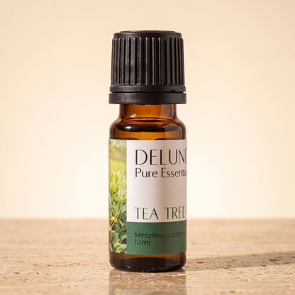 Tea Tree essential oil UAE – Delune Dubai Tea Tree Pure Essential Oil, 10ml amber glass bottle on warm travertine stone
