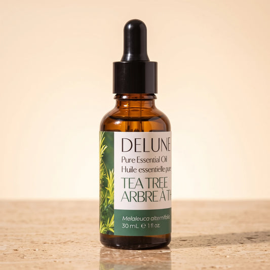 Tea Tree essential oil UAE – Delune Dubai Tea Tree Pure Essential Oil