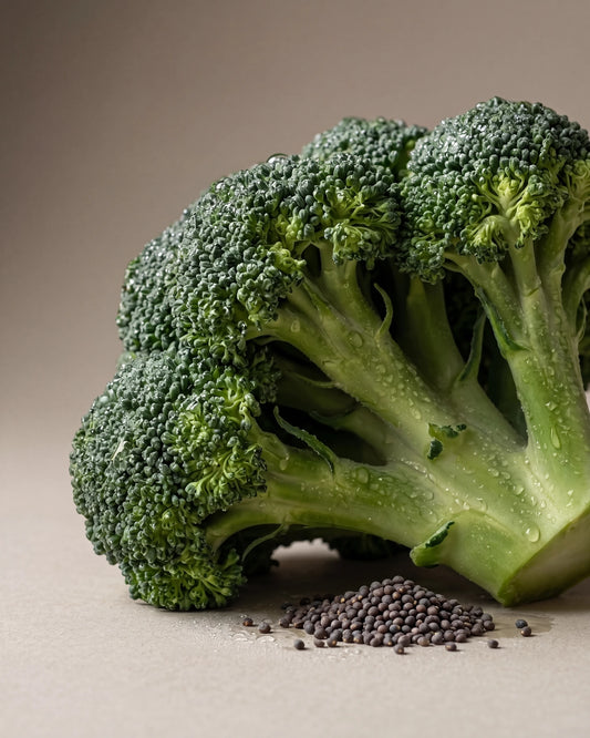 Broccoli Seed Oil UAE – Delune Dubai Virgin Broccoli Seed Oil botanical still life