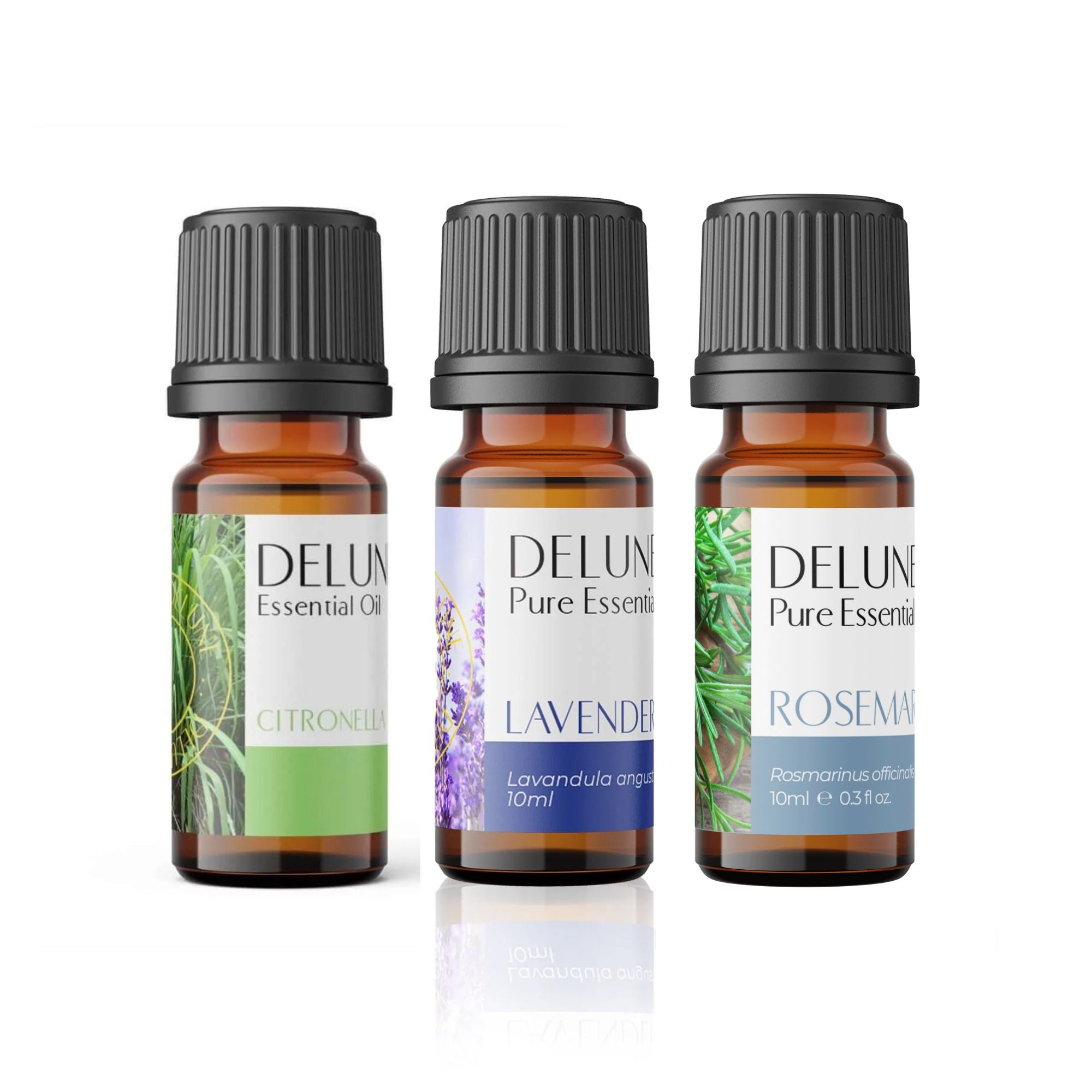 Essential Oils Trio Bundle featuring 10ml Lavender, Citronella, Rosemary bottles for relaxation, focus, and pest-repellent benefits.
