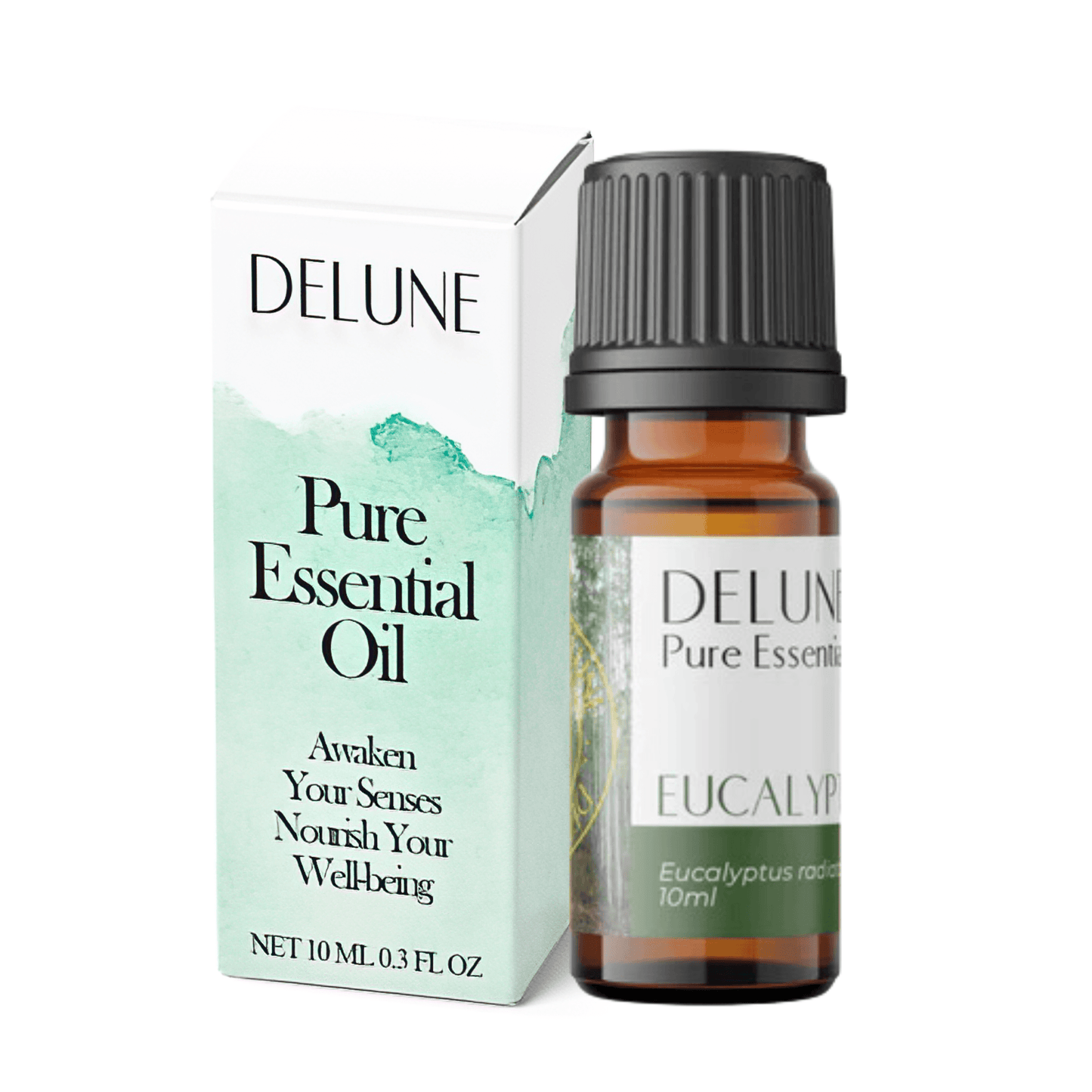 Eucalyptus Pure Essential Oil - Delune Dubai